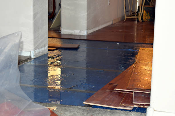 Professional Basement Flood Cleanup technician working in Canyon Country, CA